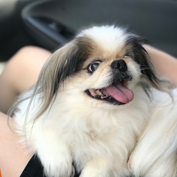 Meet Me!! - Picture 2 of 2